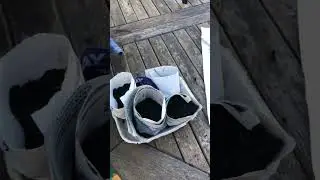 How To Use A Paper Plant Pot Maker