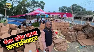 জামালপুর থেকে কাঁচা মরিচ যাচ্ছে মালয়েশিয়ায় | Green chilli export from Jamalpur to Malaysia 