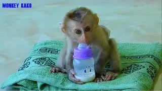 Tiny Baby Nina Drinking Milk And Sleep On Towel Very Cute
