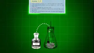 Activity 1.3 class 10 science ( chemistry) | Zink granules and Sulphuric acid 