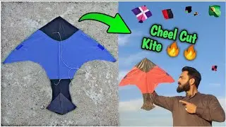Cheel Cut Kite 🔥. Rocket Jaisi Flying 🔥.