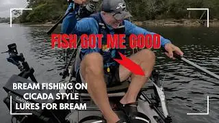 CICADA SEASON - BREAM ON SURFACE CICADA LURES AND A SURPRISE ATTACK