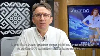 Cum scapati de buruienile graminee din culturi? Erbicidul RANGO este solutia &ldquo;iscusita&rdquo;!