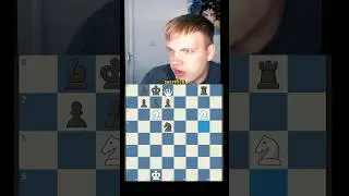 this puzzle broke the internet #chess
