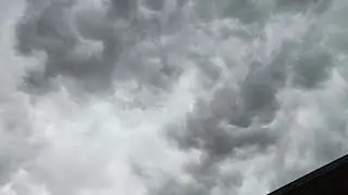 Severe Thunderstorm/Heavy Rain and Lightning; Greensboro, Maryland - August 7th, 2023
