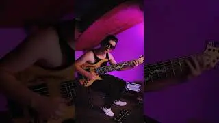 Darkwing Duck ( Черный плащ ) -   Bass Cover