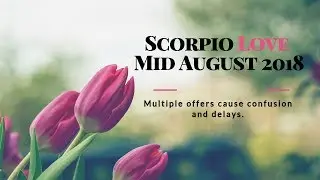Scorpio LOVE Mid August 2018 *Multiple offers cause confusion and delays.*