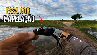 🚨 PESCARIA de TRA&Iacute;RAS com RATINHU! Essa Cor &eacute; Apela&ccedil;&atilde;o Pura!🔥