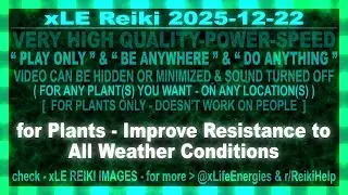 xLE Reiki | for Plants - Improve Resistance to All Weather Conditions