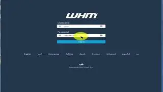 Install MailWizz Part 1 of 2   Configure Domain VPS CPanel DKIM SPF DMARC rDNS