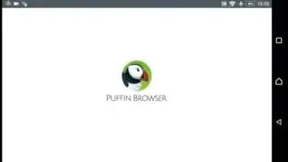 Puffin Apk