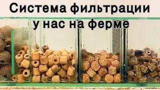 Фильтр для лорикариевых сомов.