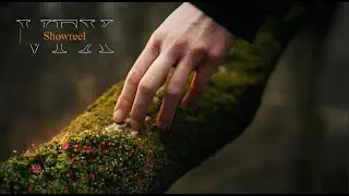 Visual Effects Showreel | Celebration of Life Studio