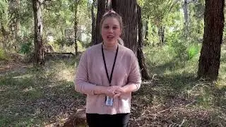 Careers Week 2021 - City of Kalamunda Strategic Planning