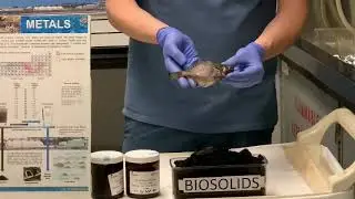 Removing Metals from Wastewater