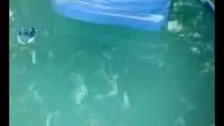 Part 3 Intex Pool with 200lbs Pentair Sand Filter 15 hours After Install