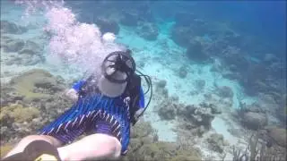 Awesome scuba diving adventures, The Dive Bus, Curacao