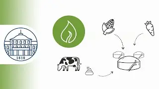 Biogas (explanatory video) | Research Program Bioeconomy BW