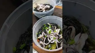 Squid Sotanghon #food