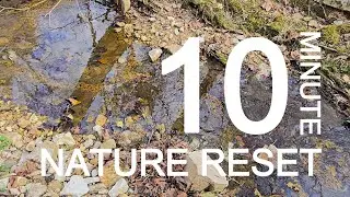 10 Minute Nature Reset