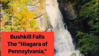 Bushkill Falls - ||Adventurous activity, Green forest hike with beautiful fall || Travel vlog 1