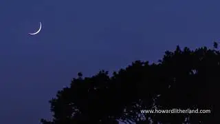 Time lapse video of a crescent moon setting behind a tree