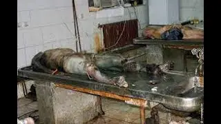Armenian dead soldiers in the Nagorno Karabakh war