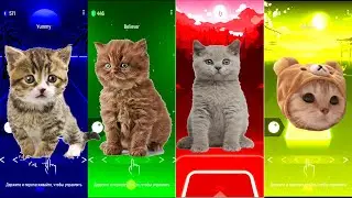 Cute cats | Tiles Hop | Tiles Hop edm rush