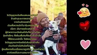 Aloka อโลก้า