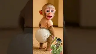 Baby Monkey Farts for the First TimeHis Reaction Is Everything #shorts