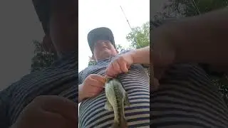 the first fish on a curly tailed grub #fishing