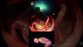Kiwi and Avocado Benefits Explained in 3D | Realistic Medical Human Body Animation | #shorts