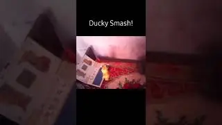 Ducky Smash!!!