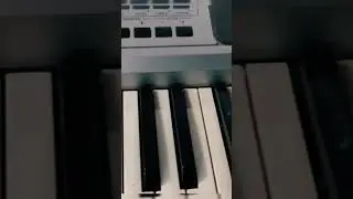 KORG PA 50 # SHORTS