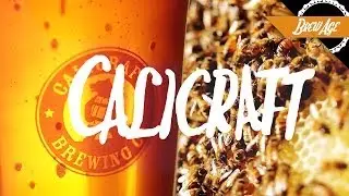 Sparkling Ales Will Change the Beer Industry and These Guys are Doing Them Right!