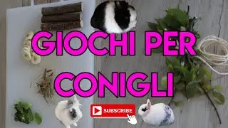CONIGLI ED I LORO GIOCHI | #rabbit #bunny #cartoons