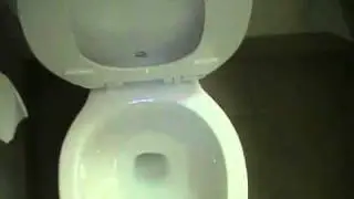Vitromex Toilet hotel room