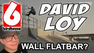Обзор новой детали для скворечника David Loy (часть XX): Очень неплохая деталь!