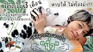 เมื่อลูกเกือบจะเป็น #นิ่ว รู้ตัวเร็ว 3 เดือน เปลี่ยนสูตรอาหารกับ #นักโภชนาการ หายได้ ไม่ต้องผ่า!!