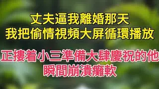 丈夫逼我離婚那天，我把偷情視頻大屏循環播放，正摟着小三準備大肆慶祝的他，瞬間崩潰癱軟
