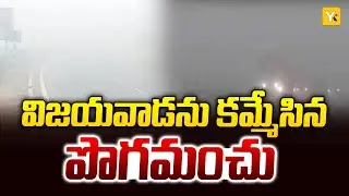 Vijayawada City Fog Alert | పొగమంచుతో కమ్ముకున్న విజయవాడ | Road Visibility Low | #vijayawada | #yktv