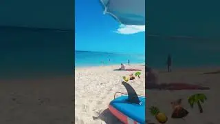 Reunion Island's beach today. Welcome in Ocean Indian's paradise.