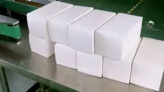Linear type cartoning machine bags cartoner equipment
