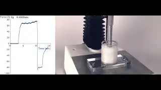 Back Extrusion Rig | Measure consistency of contained semi-solid materials using a Texture Analyser