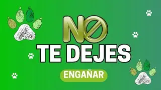  C&oacute;mo saber si un adiestrador o et&oacute;logo es bueno de verdad