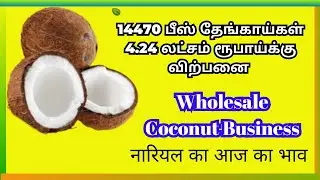 14470 பீஸ் தேங்காய்கள் 4 1/4 லட்சம் ரூபாய்க்கு விற்பனை | Coconut Wholesale Rate At Gobichettipalayam