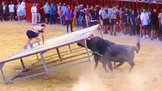 PICASSENT 01 DESAFIO de Toros Ganadería el Cali