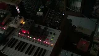 bad frog touch my/ Dark Energy - Ritm2 - Dreadbox #electronicmusic #music #analogsynth #techno #akai