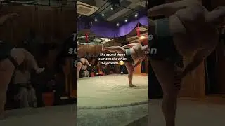 The amount of strength Sumo wrestlers have is insane.  #shorts #japan #travel #tokyo#asakusasumoclub