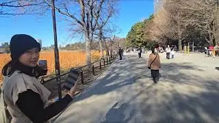 JJDC Ueno Akihabara Shibuya